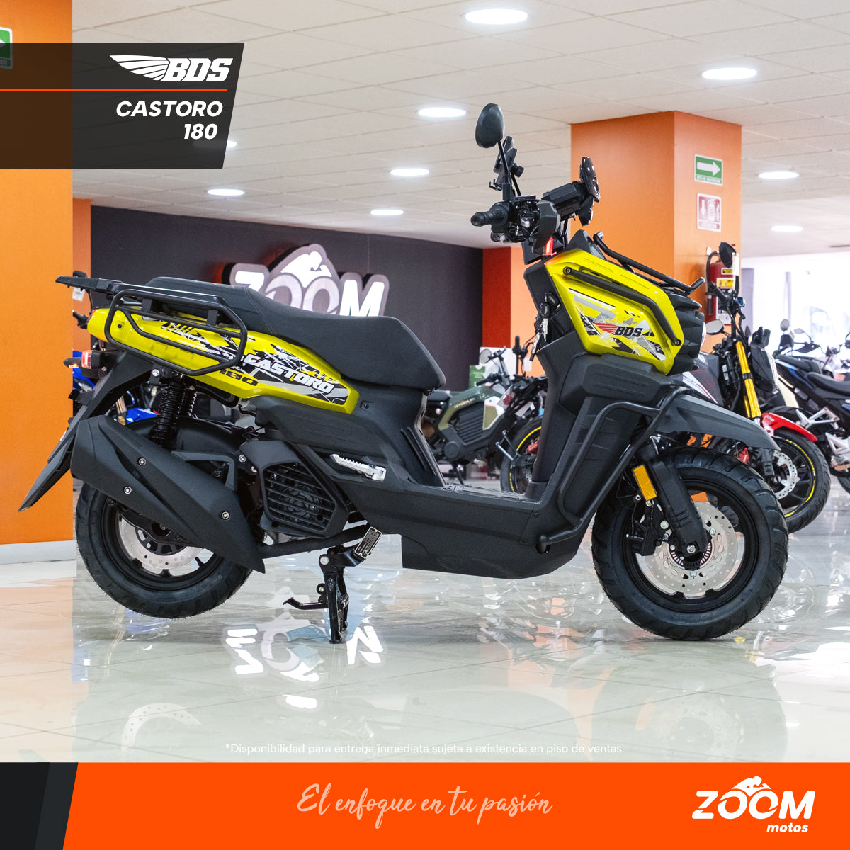 Castoro 180
