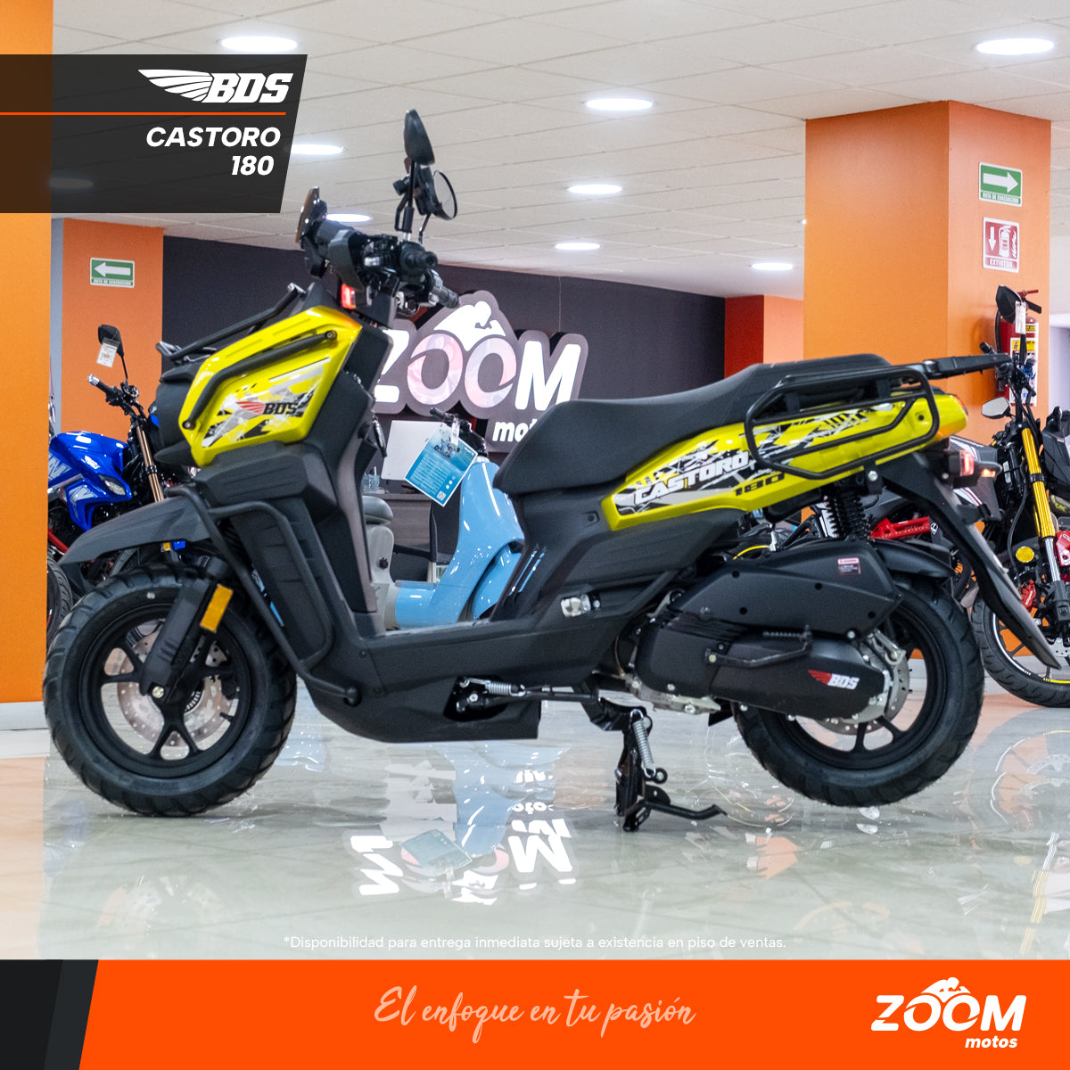 Castoro 180