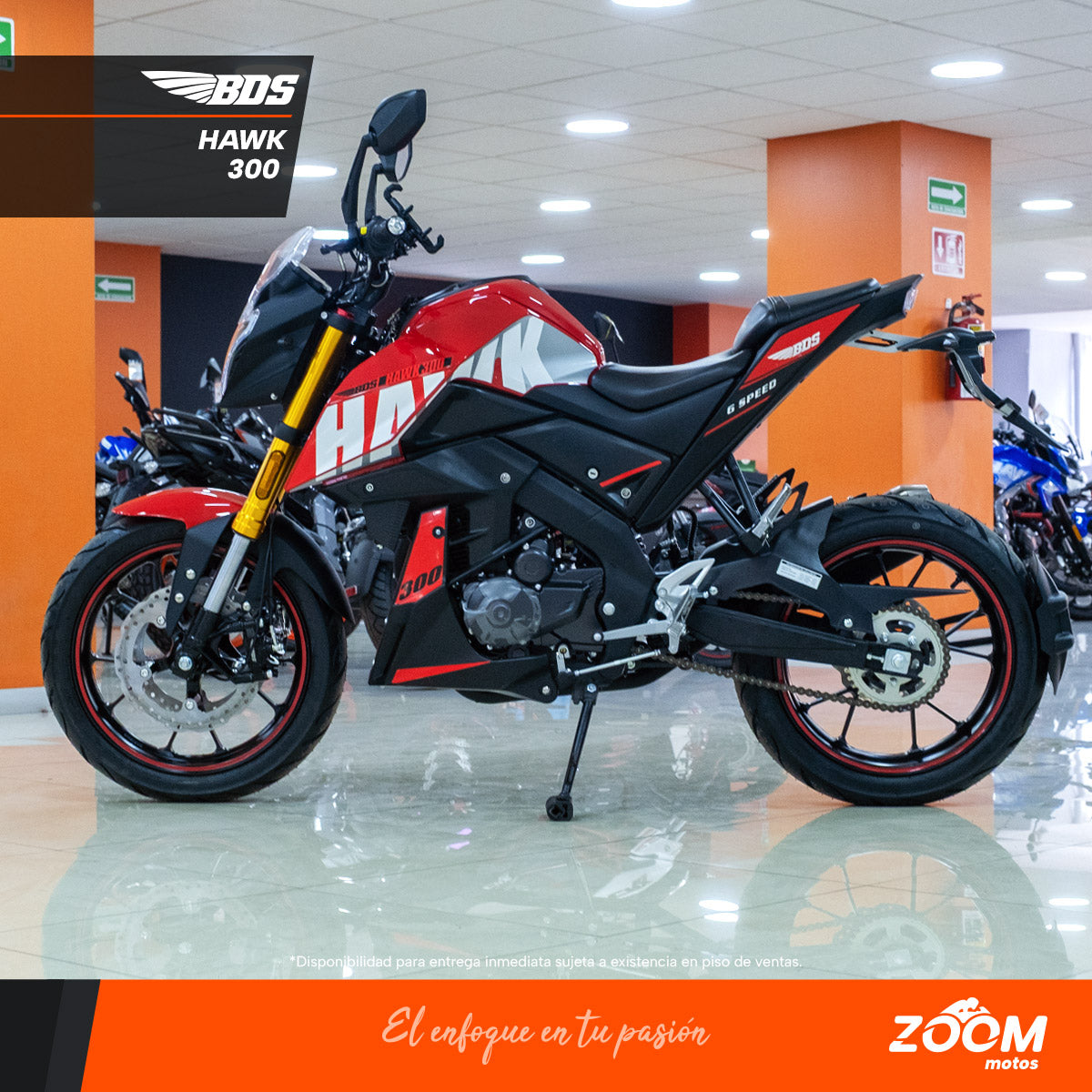 Hawk 300
