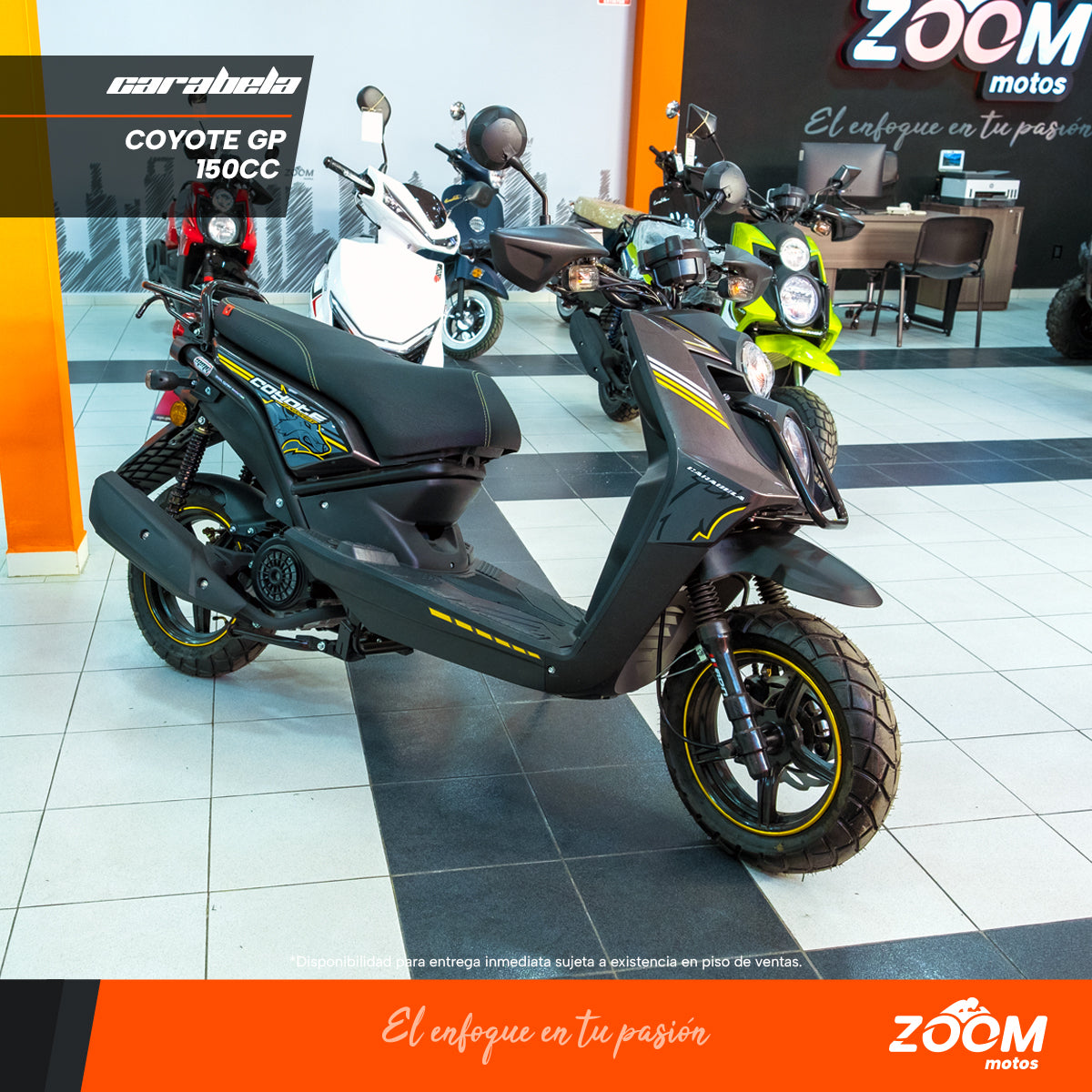 Coyote 150 Titanio