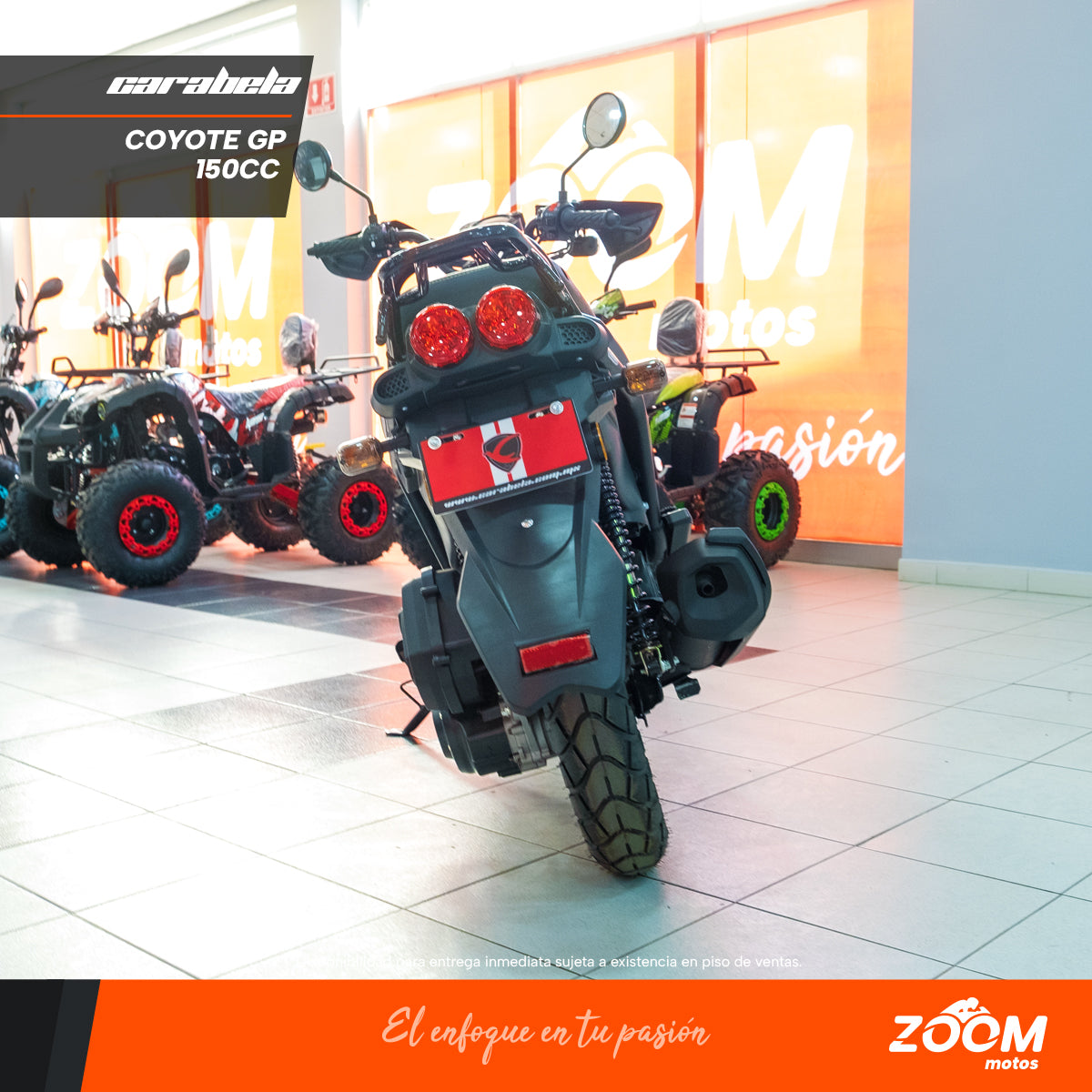 Coyote 150 Titanio