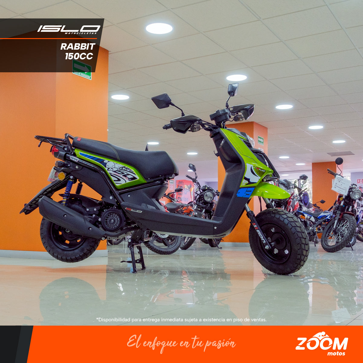 Rabbit 150