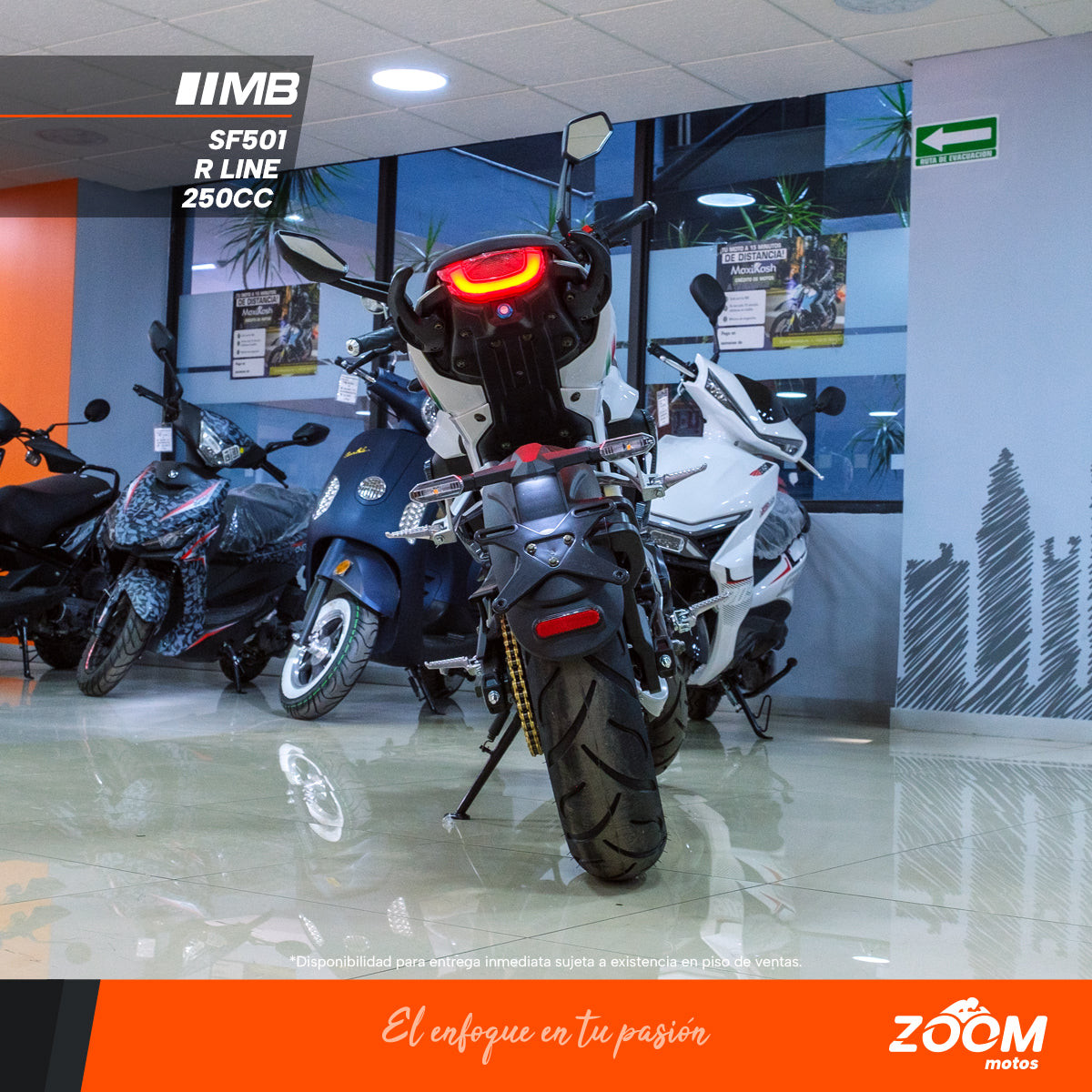 SF501 R Line 250 cc