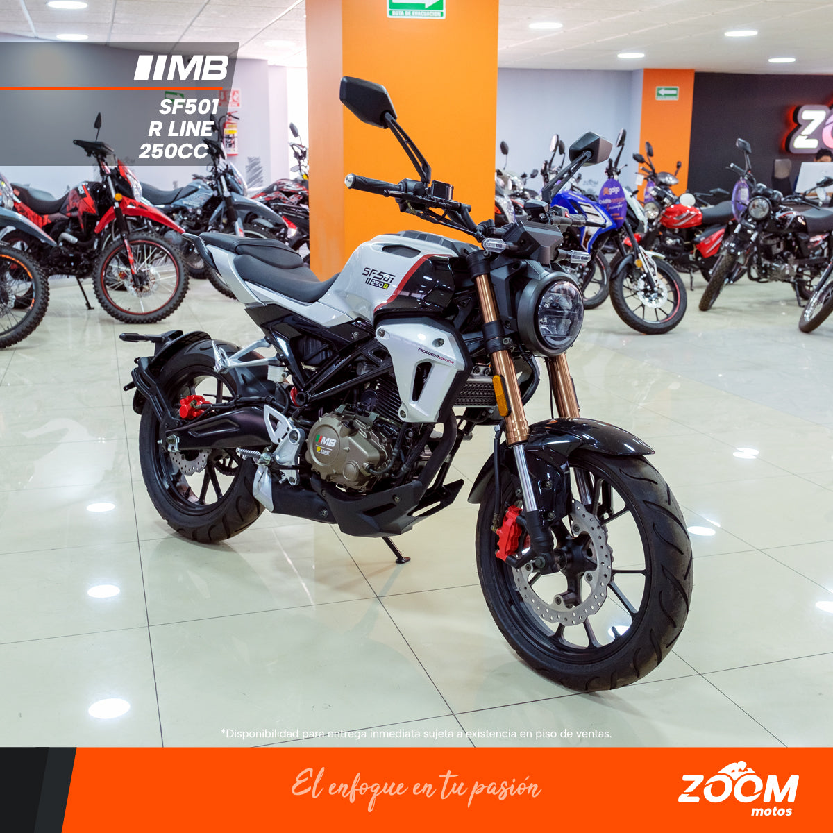 SF501 R Line 250 cc