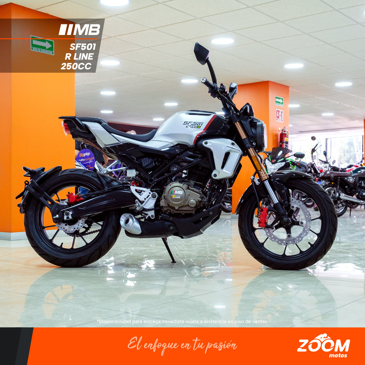 SF501 R Line 250 cc