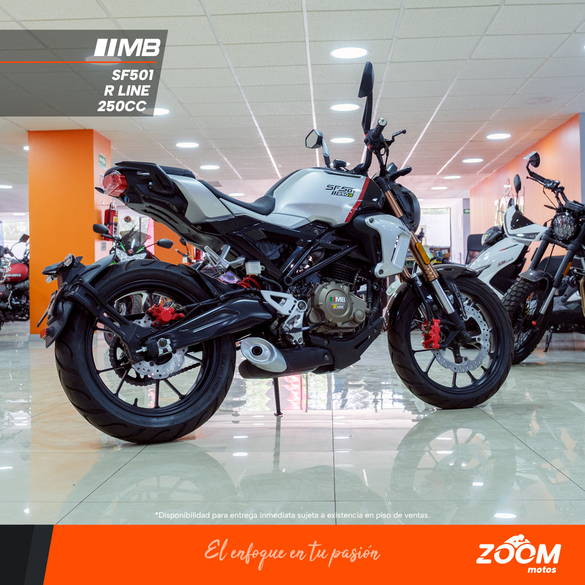 SF501 R Line 250 cc