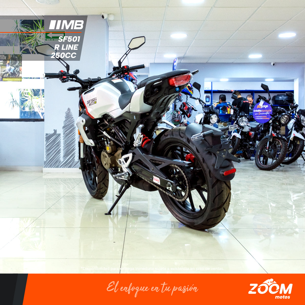 SF501 R Line 250 cc