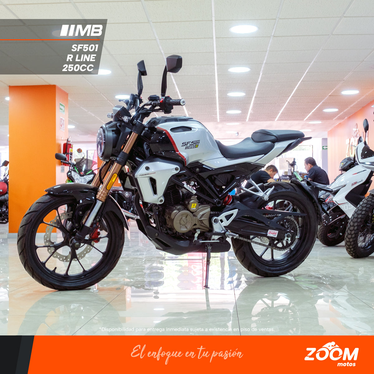 SF501 R Line 250 cc