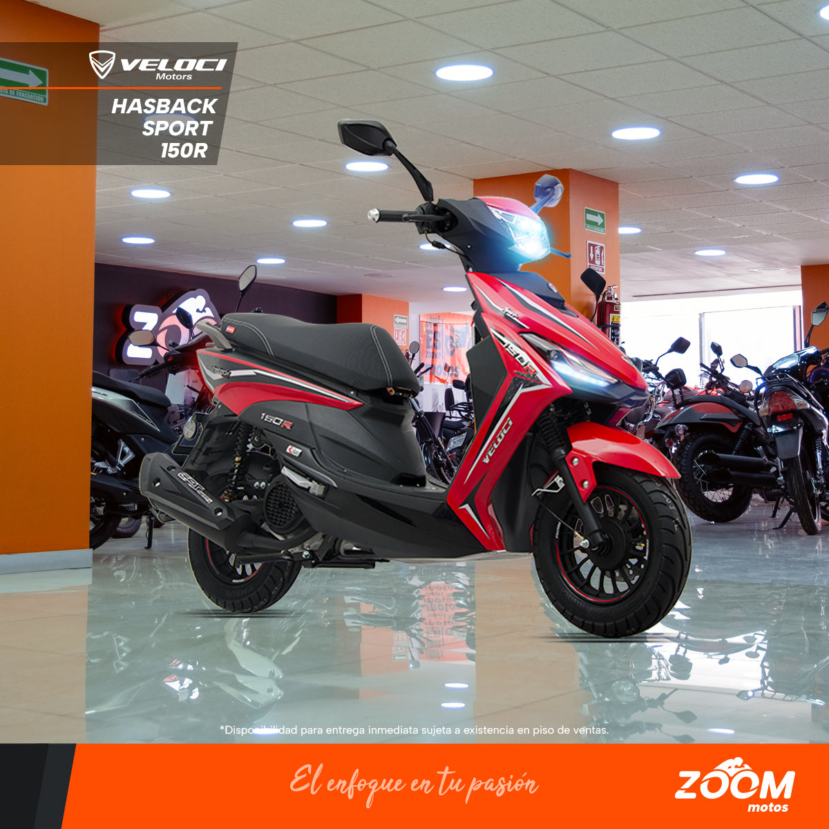 Hasback Sport 150