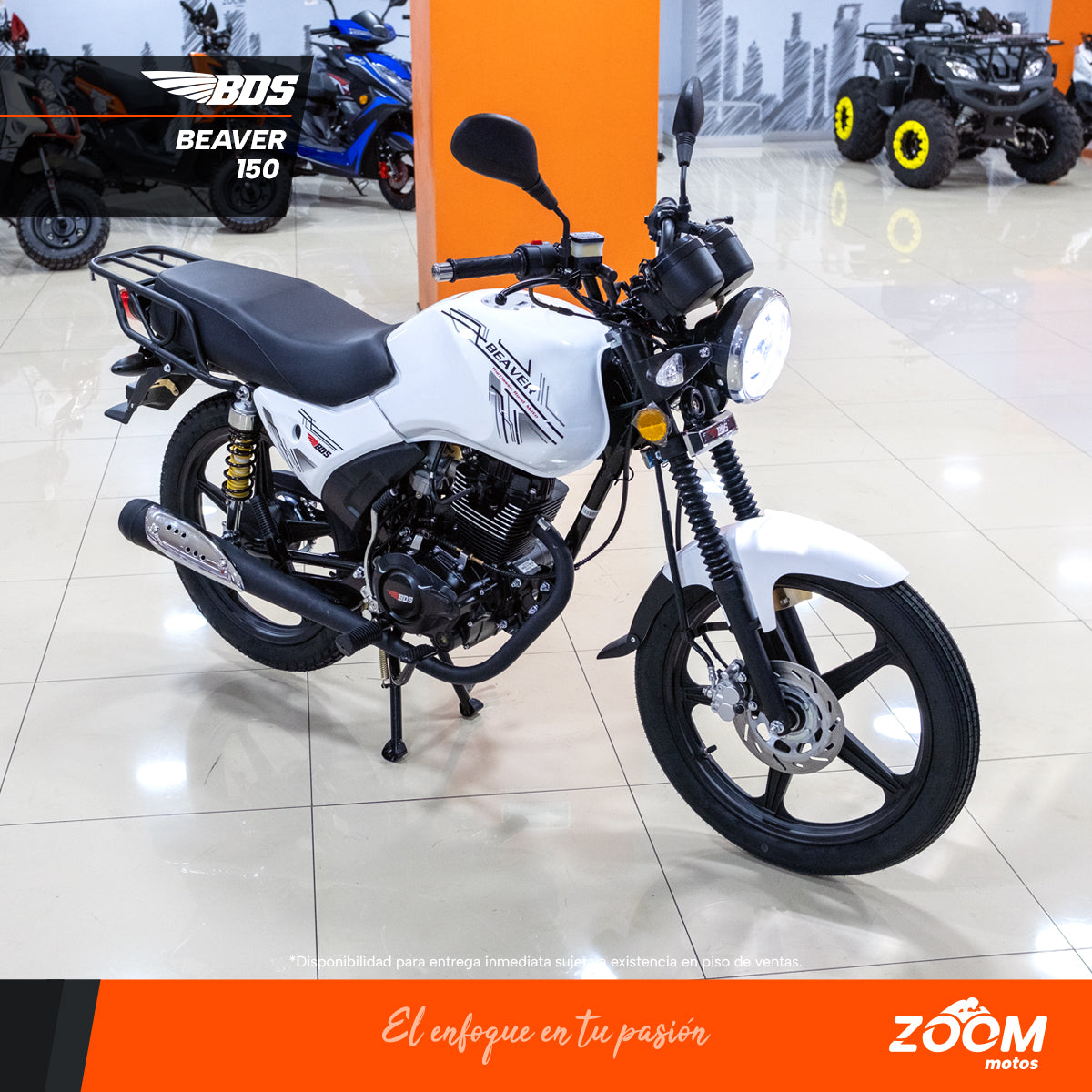 Bds BDS – zoommotos