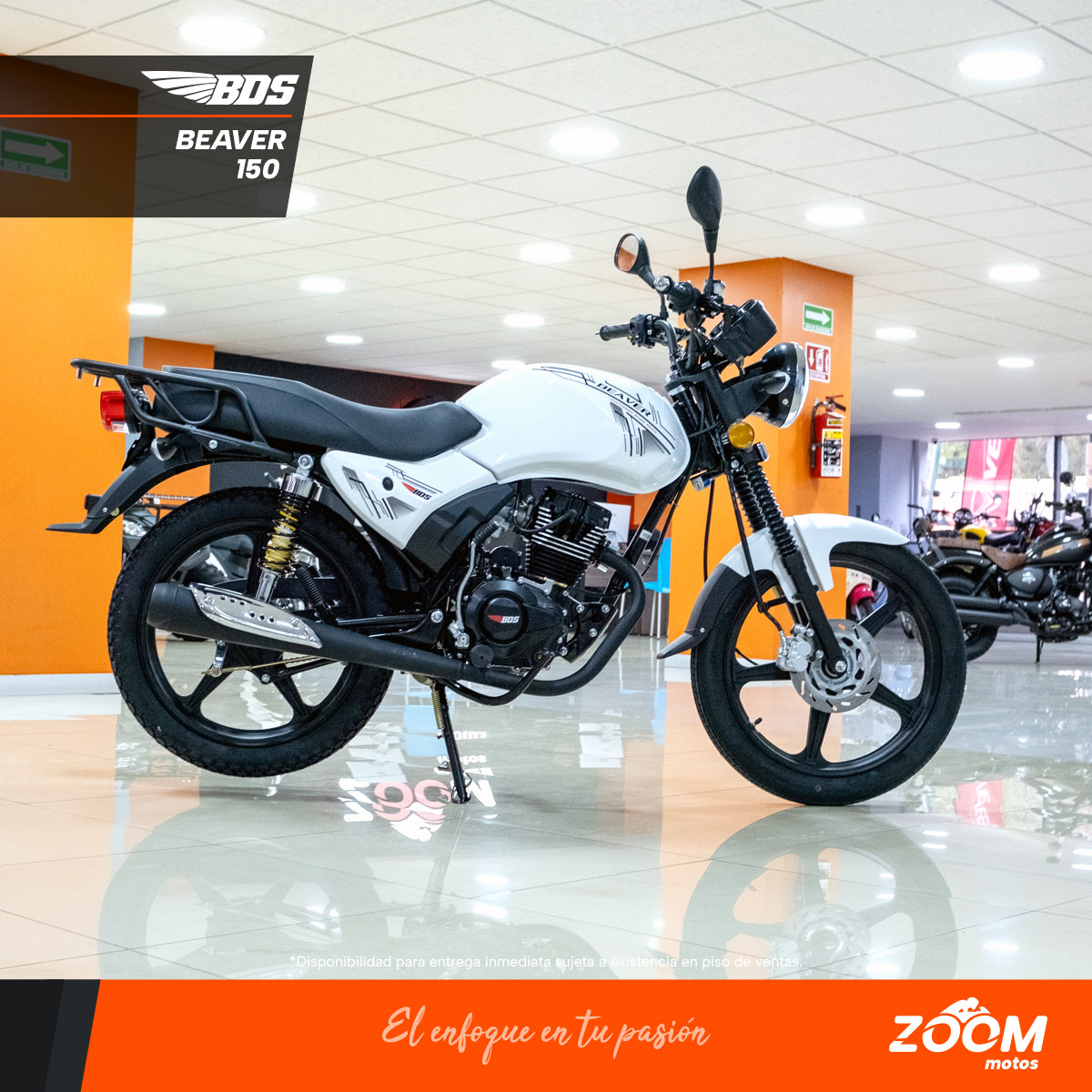 Bds BDS – zoommotos