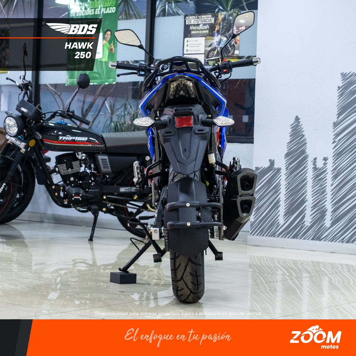 Hawk 250 – zoommotos