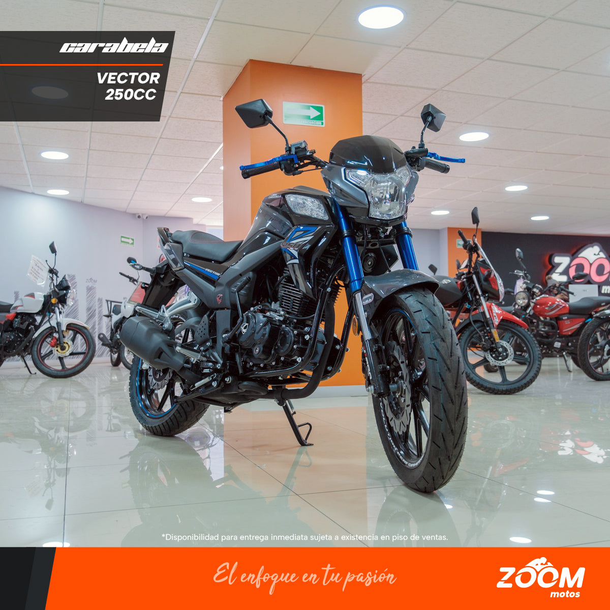CARABELA – zoommotos