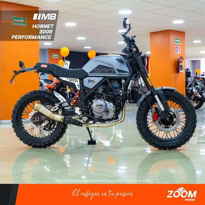 Hornet 300R Performance