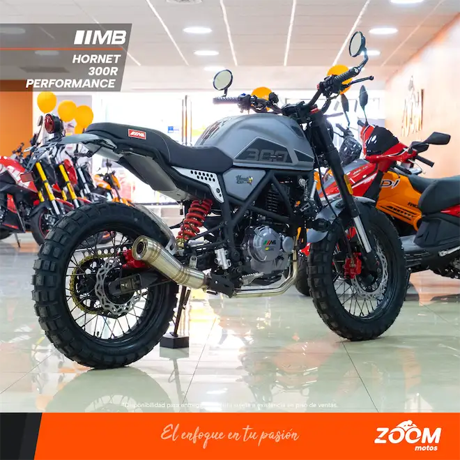 Hornet 300R Performance