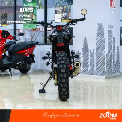 Hornet 300R Performance