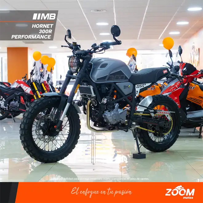 Hornet 300R Performance