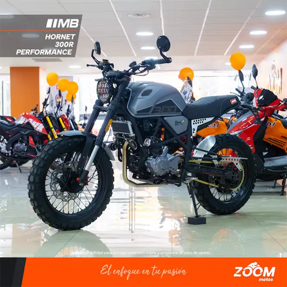 Hornet 300R Performance
