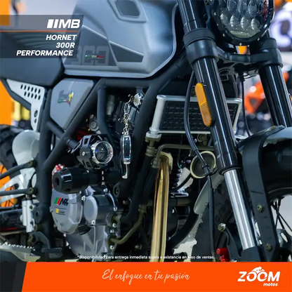 Hornet 300R Performance