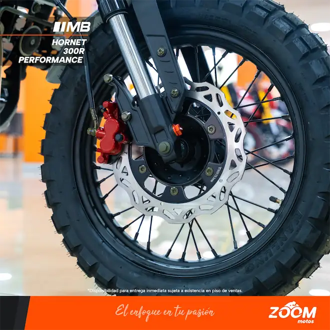 Hornet 300R Performance
