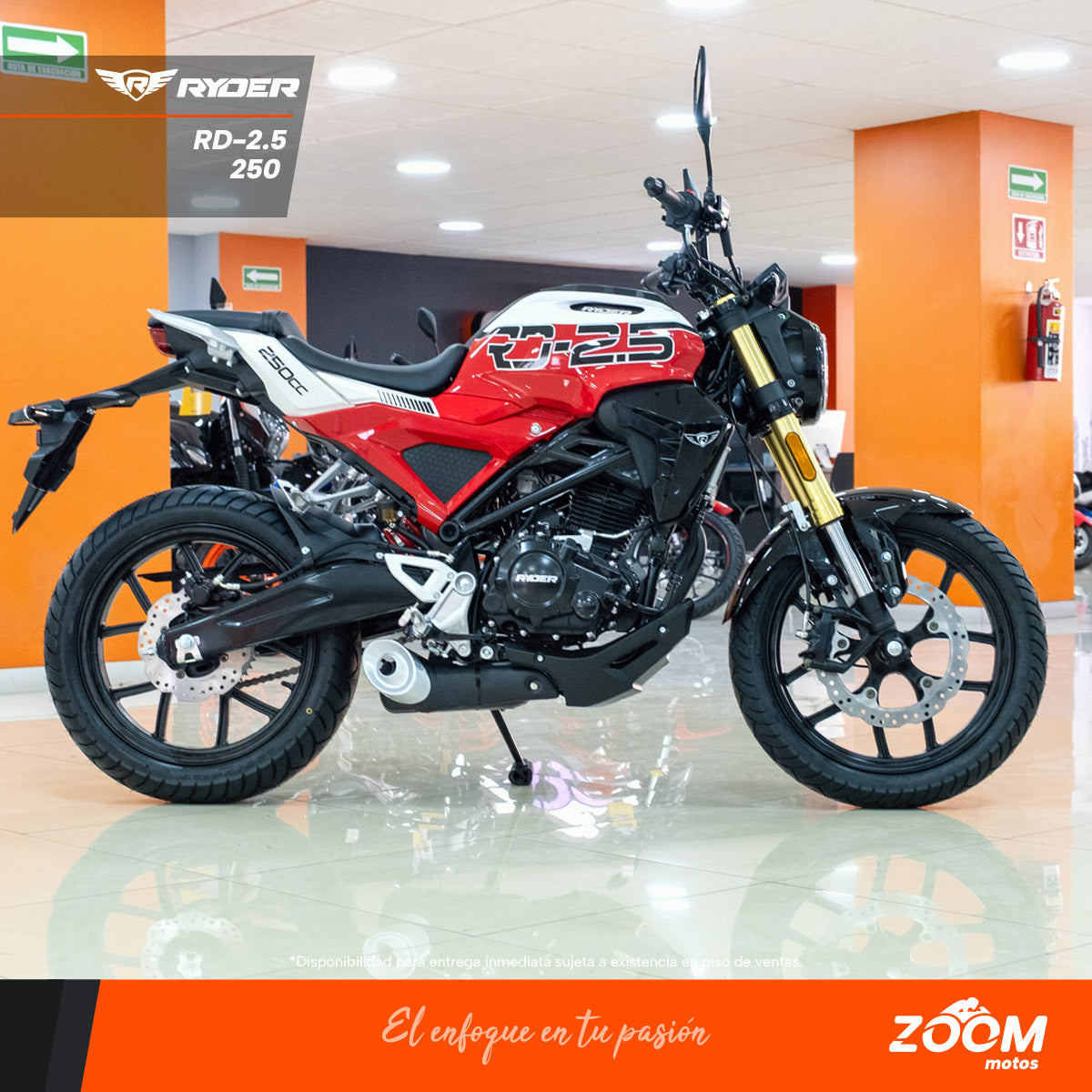 Ryader Robal Color Ryder – zoommotos