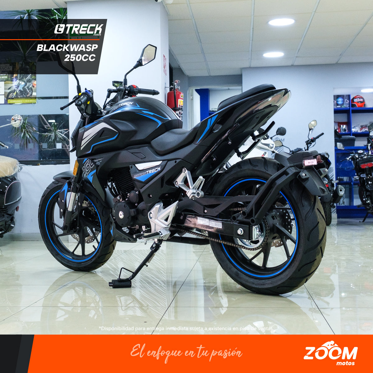 Blackwasp 250