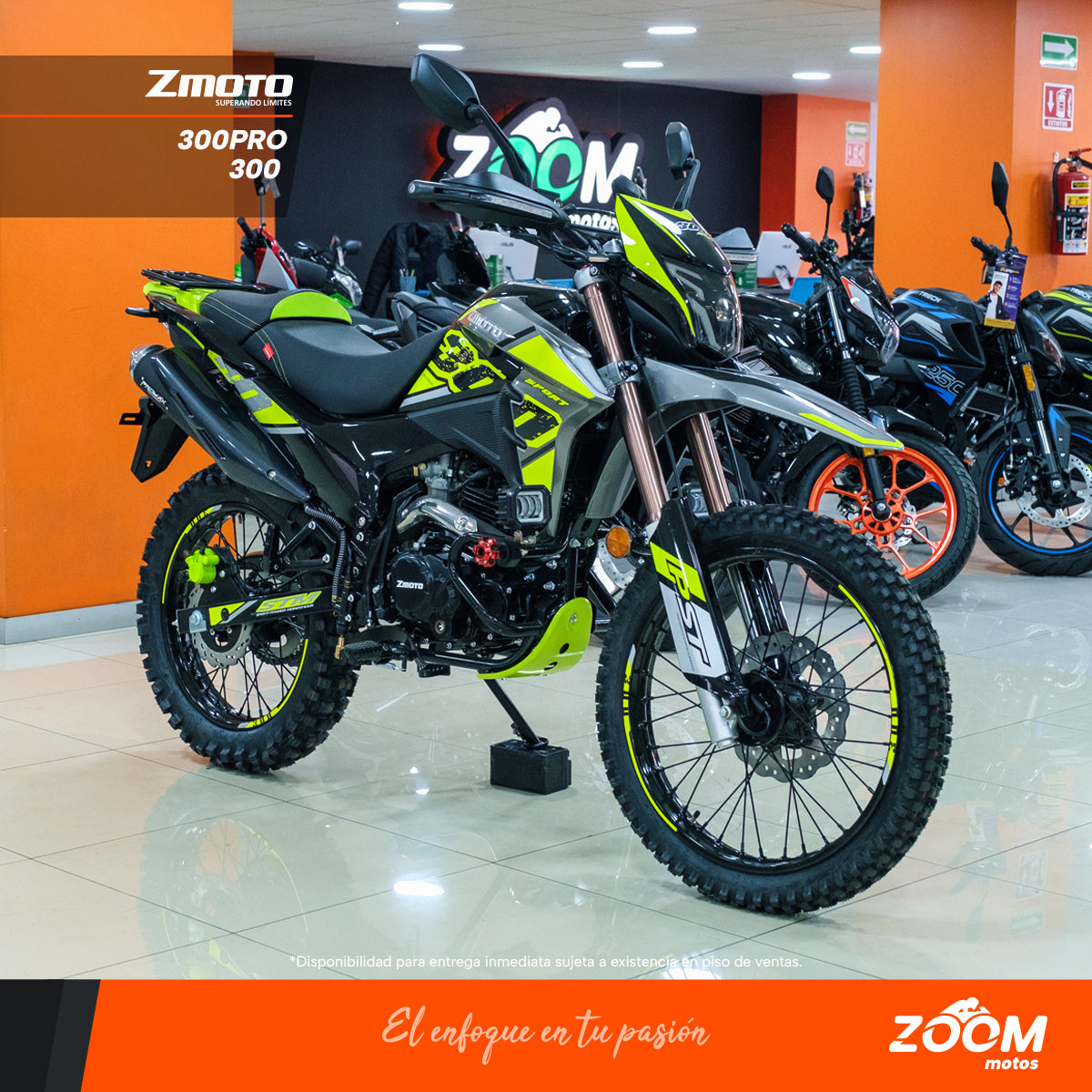 ZMoto  300 Sport