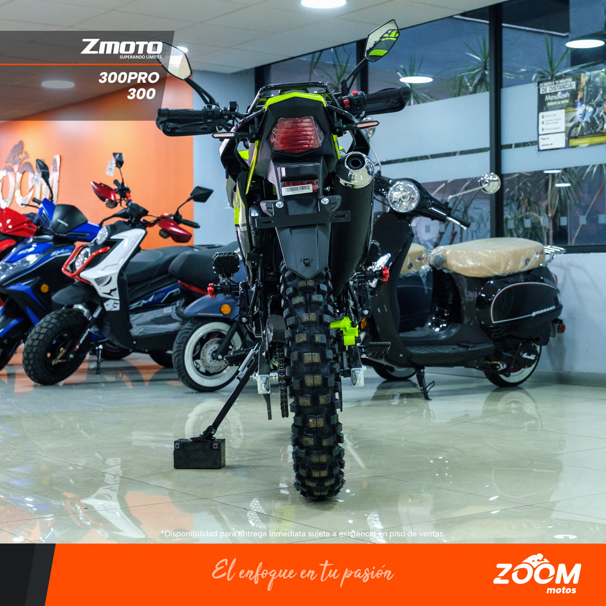 ZMoto  300 Sport