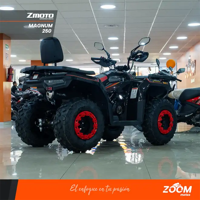 Magnum 250