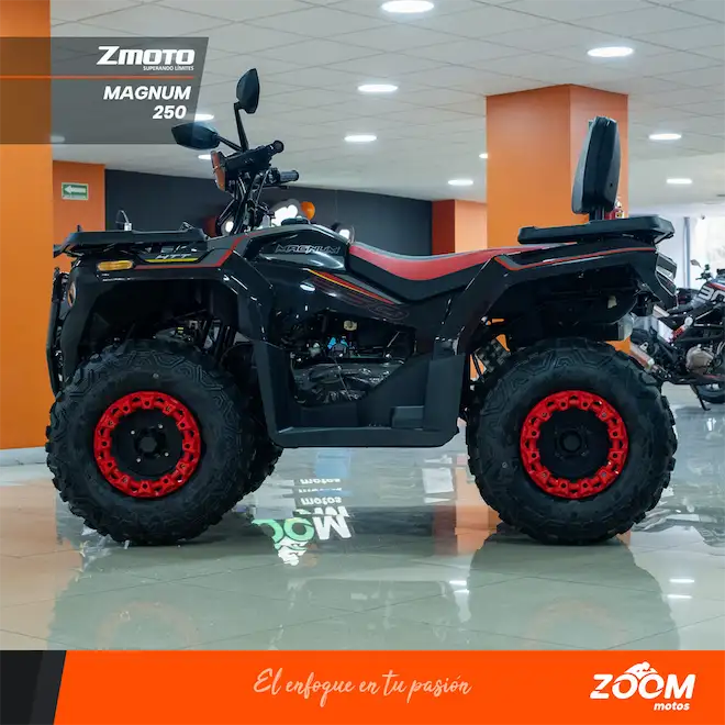 Magnum 250