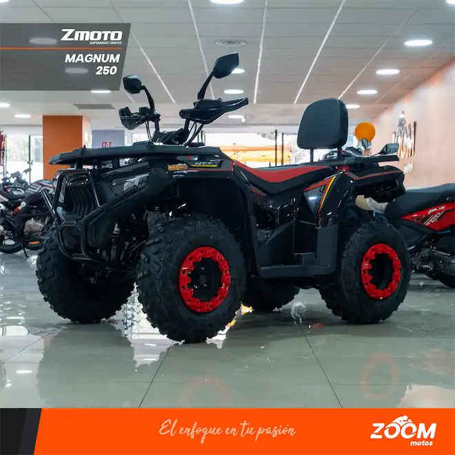 Magnum 250