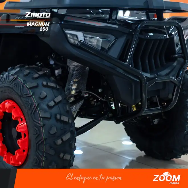 Magnum 250