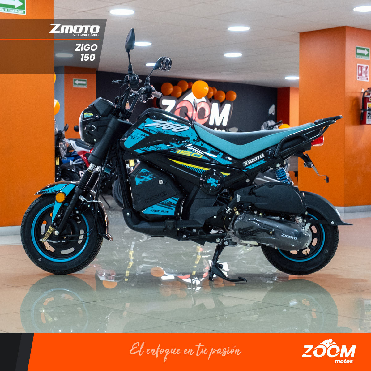 Zigo 150