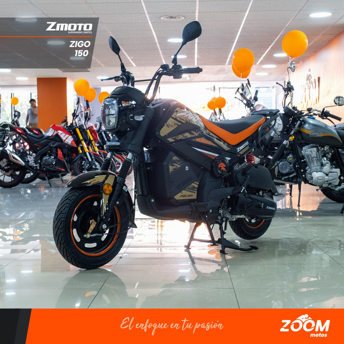 Zigo 150