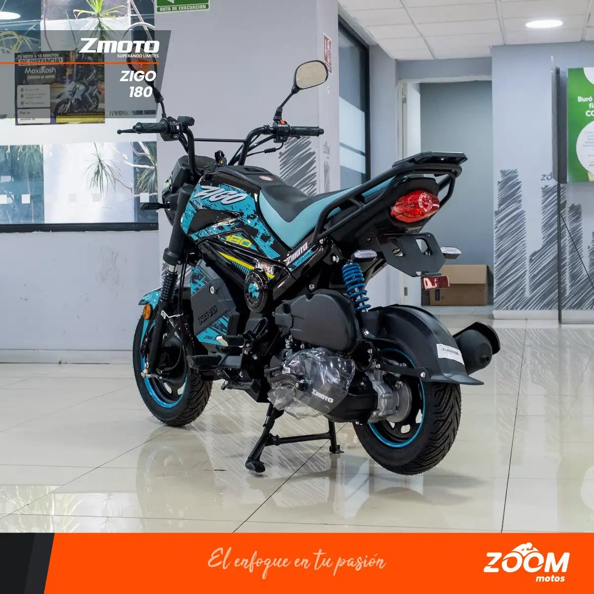 Zigo 180
