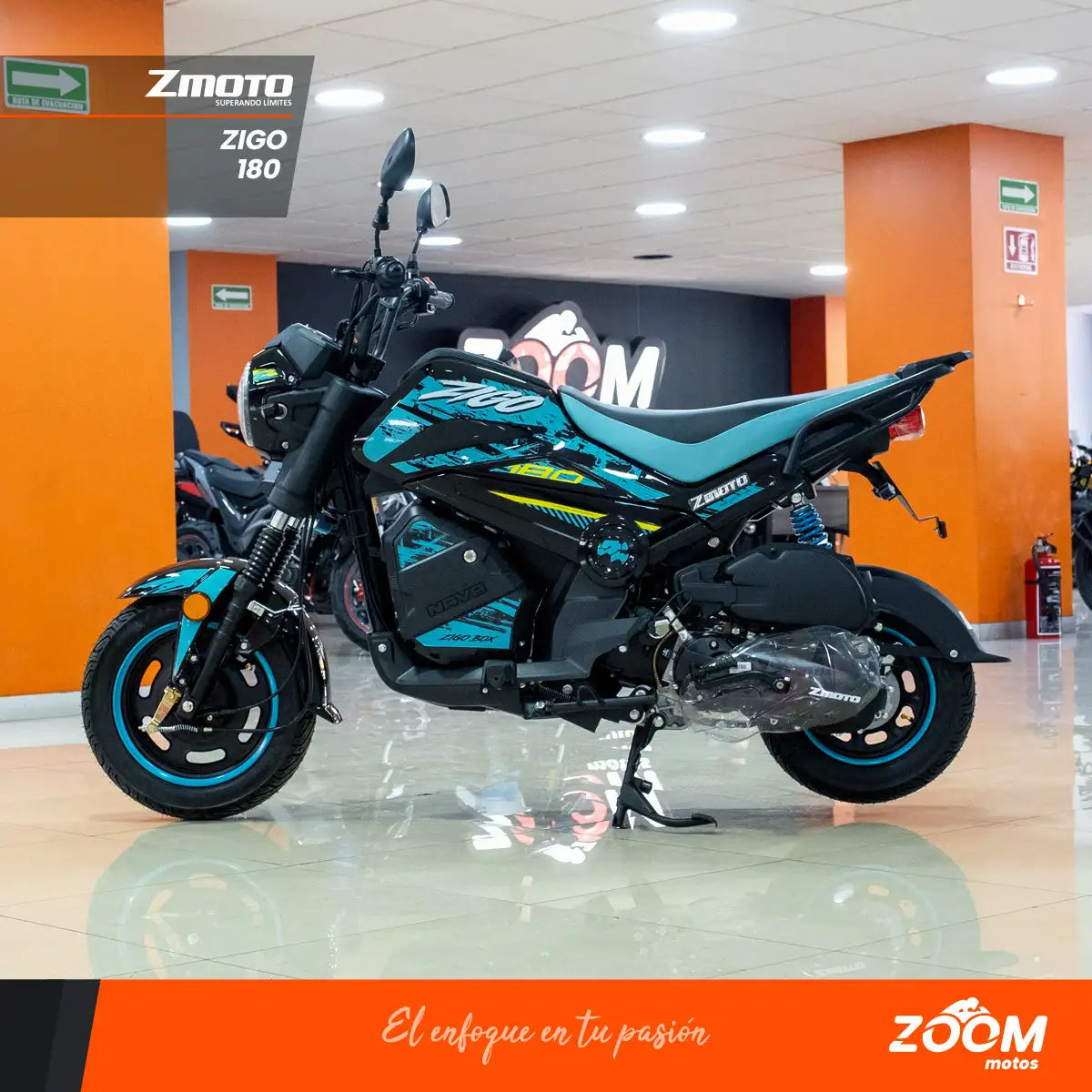 Zigo 180