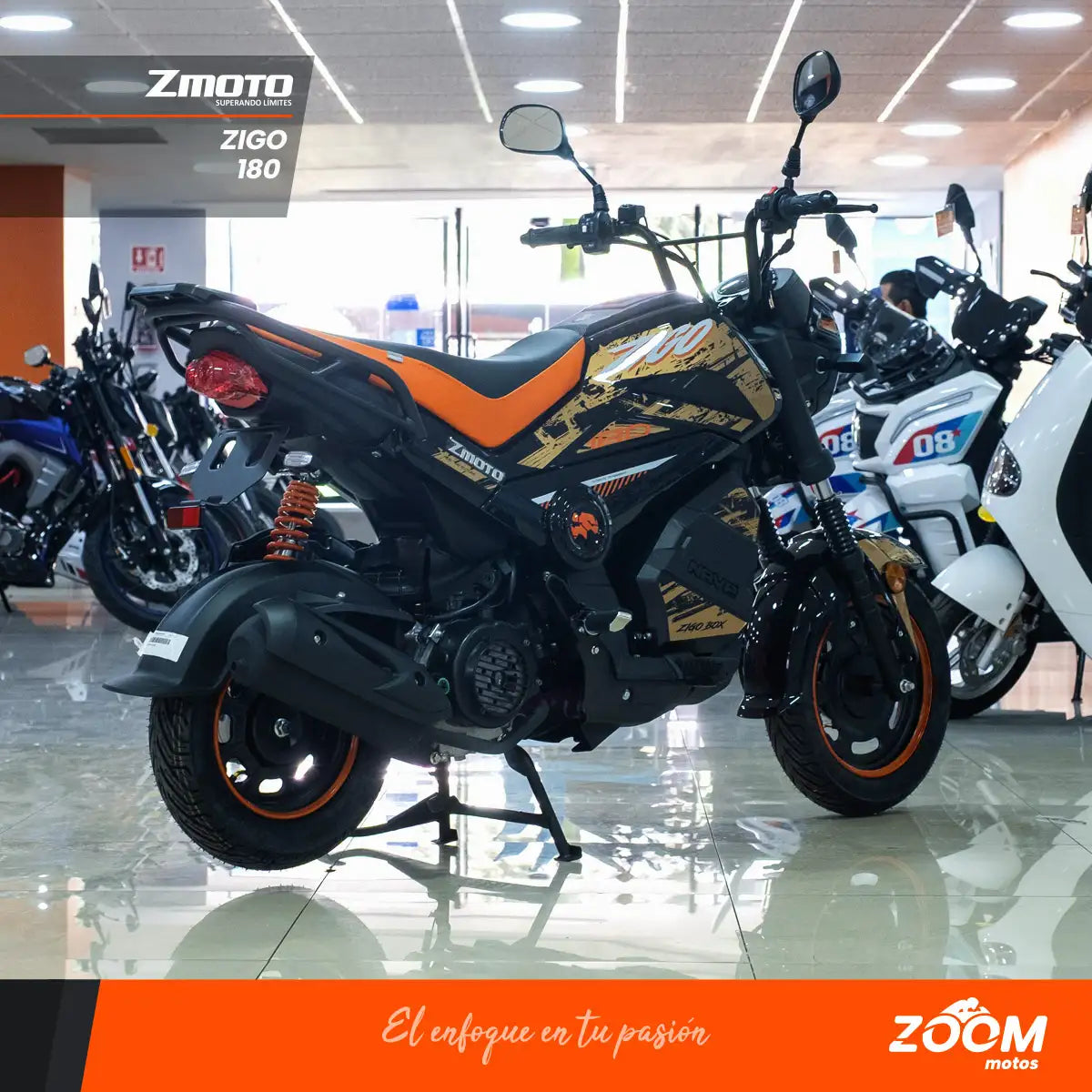 Zigo 180