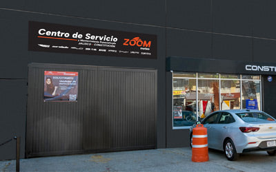 Constitución