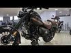 Fishbone 250 – zoommotos