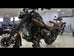 Fishbone 250 – zoommotos